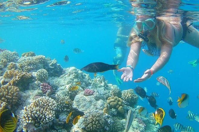 Abu Munkar Island trip by a speed boat Hurghada