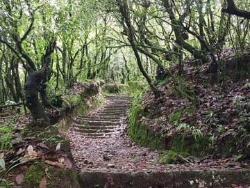 Hiking Tour from Shivapuri to Nagi Gumba in Kathmandu