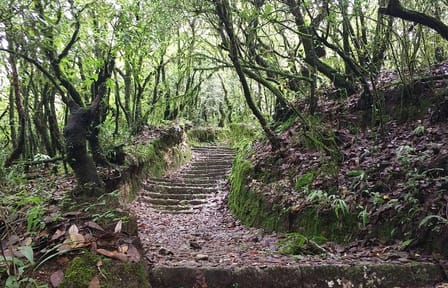 Hiking experience from Shivapuri to Nagi Gumba to Baghdwar