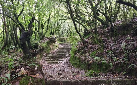 Hiking Tour from Shivapuri to Nagi Gumba in Kathmandu