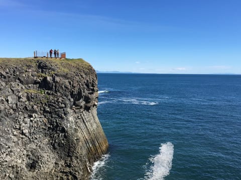 Basalt Cliff at Arnarstapi