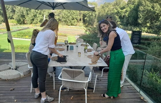 Full Day Stellenbosch, Franshoek &Paarl Wine Tasting Private Tour