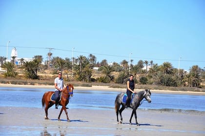 3 Hours Sunrise Horse Riding Beach and Desert from Marsa Alam