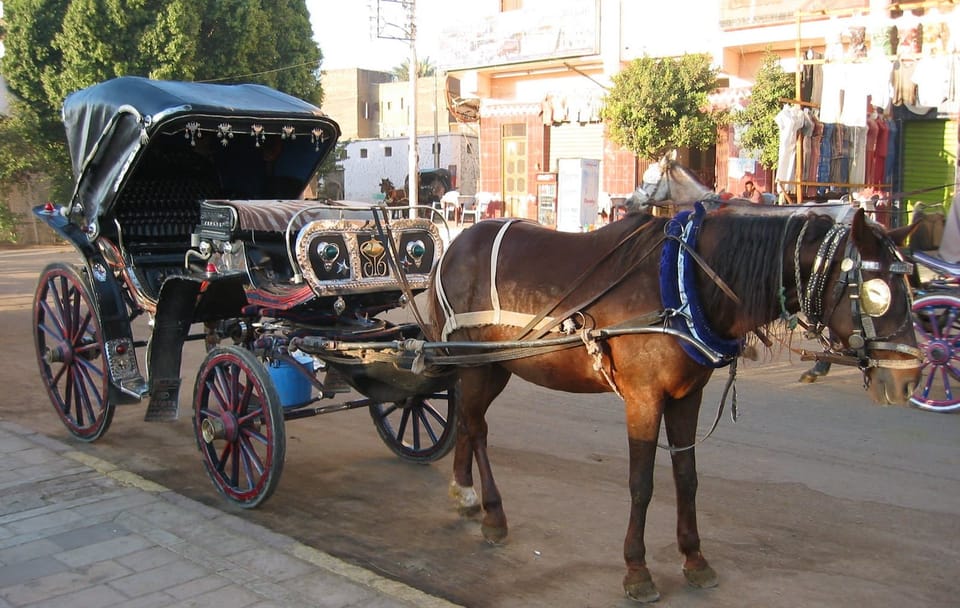 Explore Luxor's Historical Sights on a 3-Hour Horse Carriage Tour