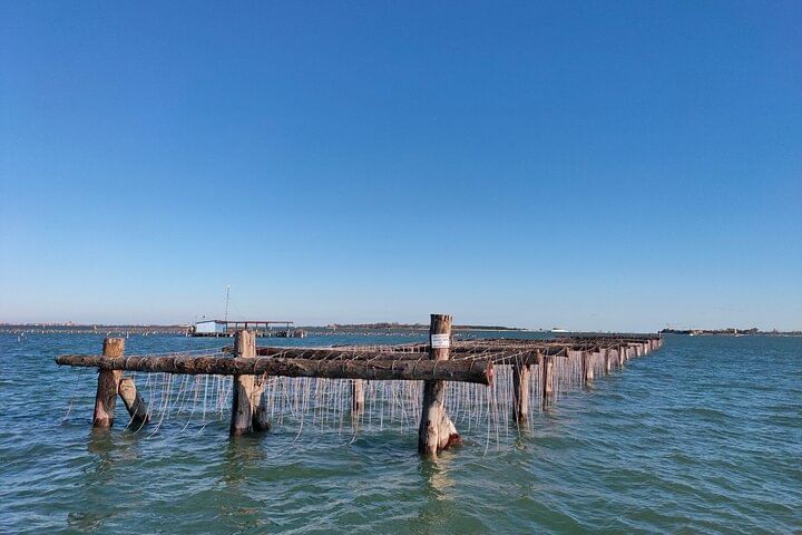 Chioggia : Aquaculture Secrets Tours of the Lagoon