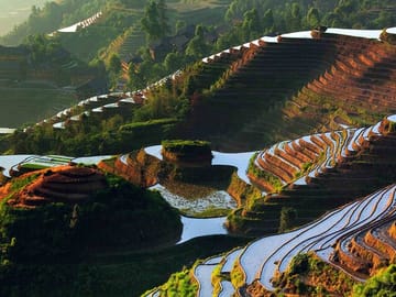 One Day Private Longji Rice Terraces with Minority Village Tour