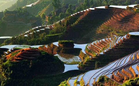 Private Day Tour of Longji Rice Terraces and Minority Village in Guilin
