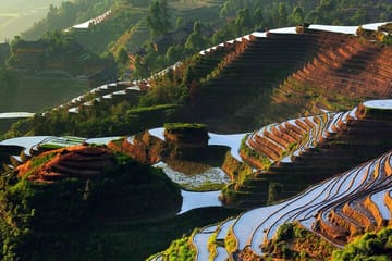 Private Day Tour of Longji Rice Terraces and Minority Village in Guilin
