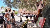 Antimafia Bike Tour Palermo 9
