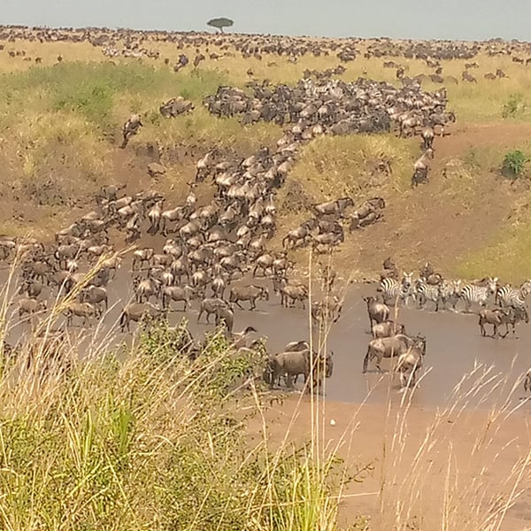 Things to do in Kajiado