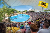 Twin ticket (Loro Parque + Siam Park) with transfer to Loro Park 10