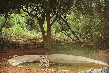 Bhubaneswar in a Day: Mystical Temples and Local Delights!