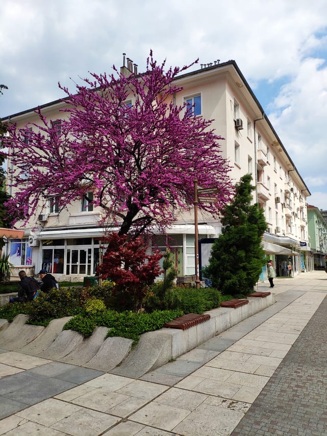 Private & Unique Sliven History and Wine Day Experience 6