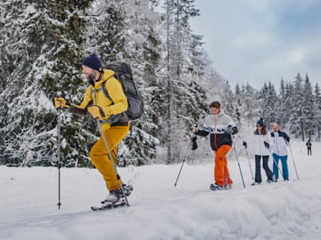 Snowshoe Hiking Tour in Oslo's Winter Landscape