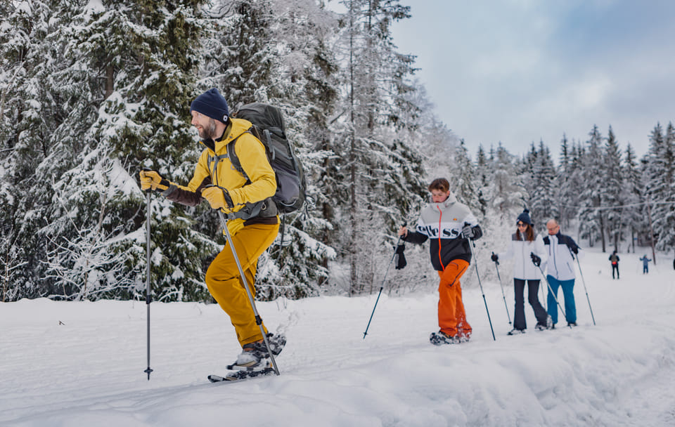 Snowshoe Hiking Tour in Oslo's Winter Landscape