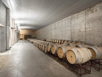 From Granada: Almuñecar city and winery visit
