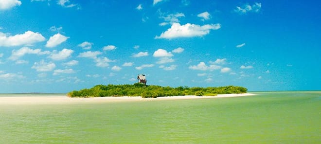 Tour Holbox, Isla Pasión y Cenote Yalahau