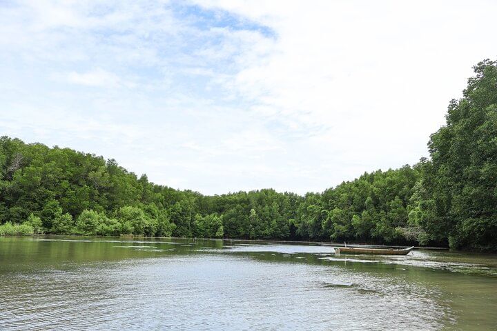 Can Gio Adventure with Wildlife and Culture Experience