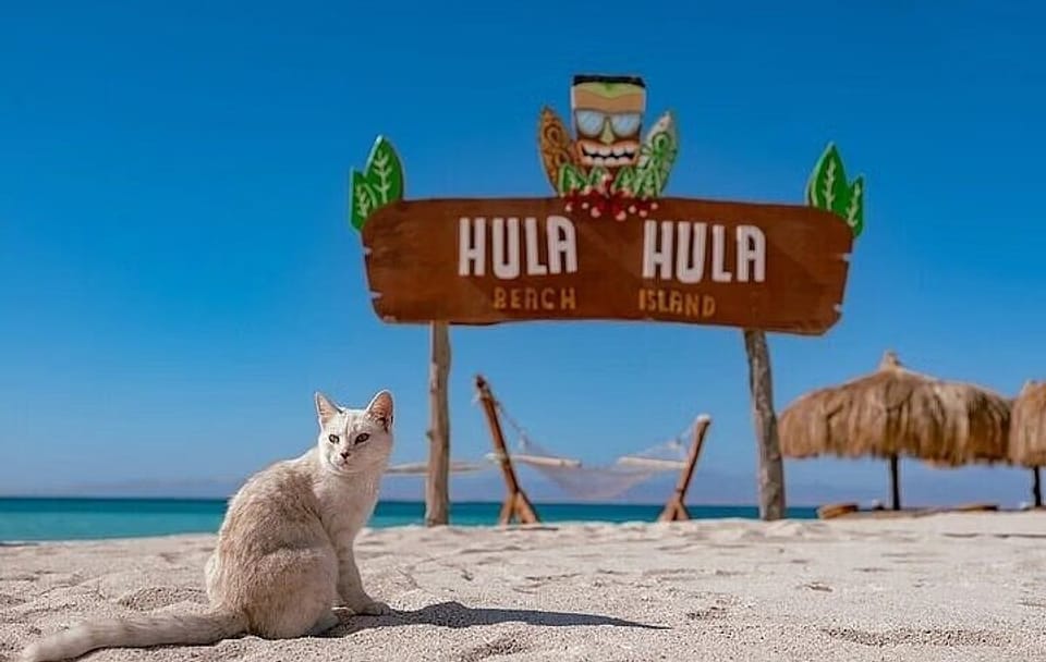 Hula Hula Island Snorkeling & Sailing Trip with Lunch – Hurghada