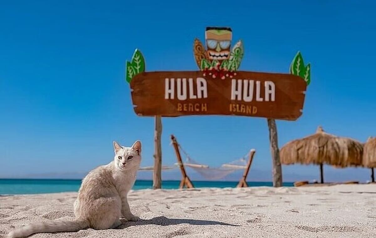 Hula Hula Island Snorkeling & Sailing Trip with Lunch – Hurghada