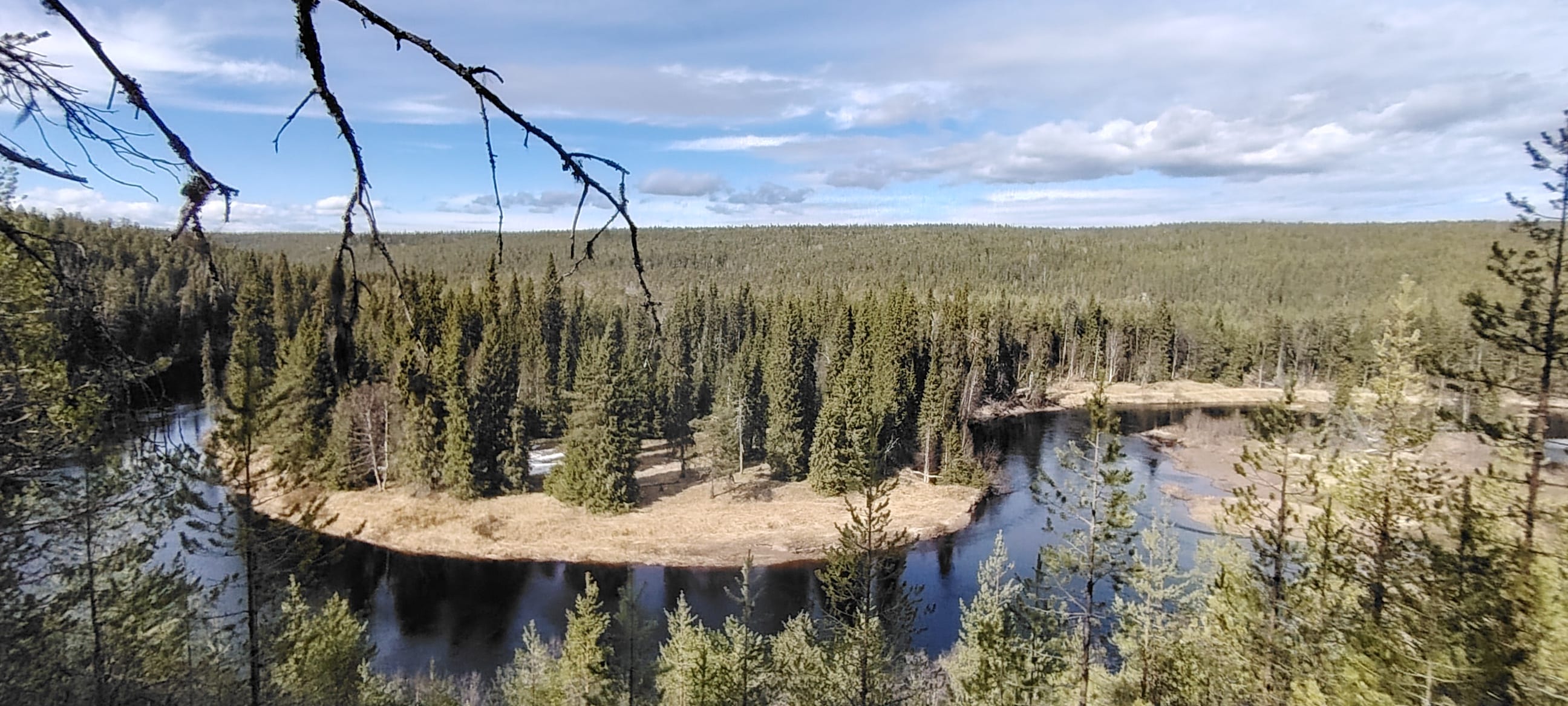 Landscape of Oulanka National Park