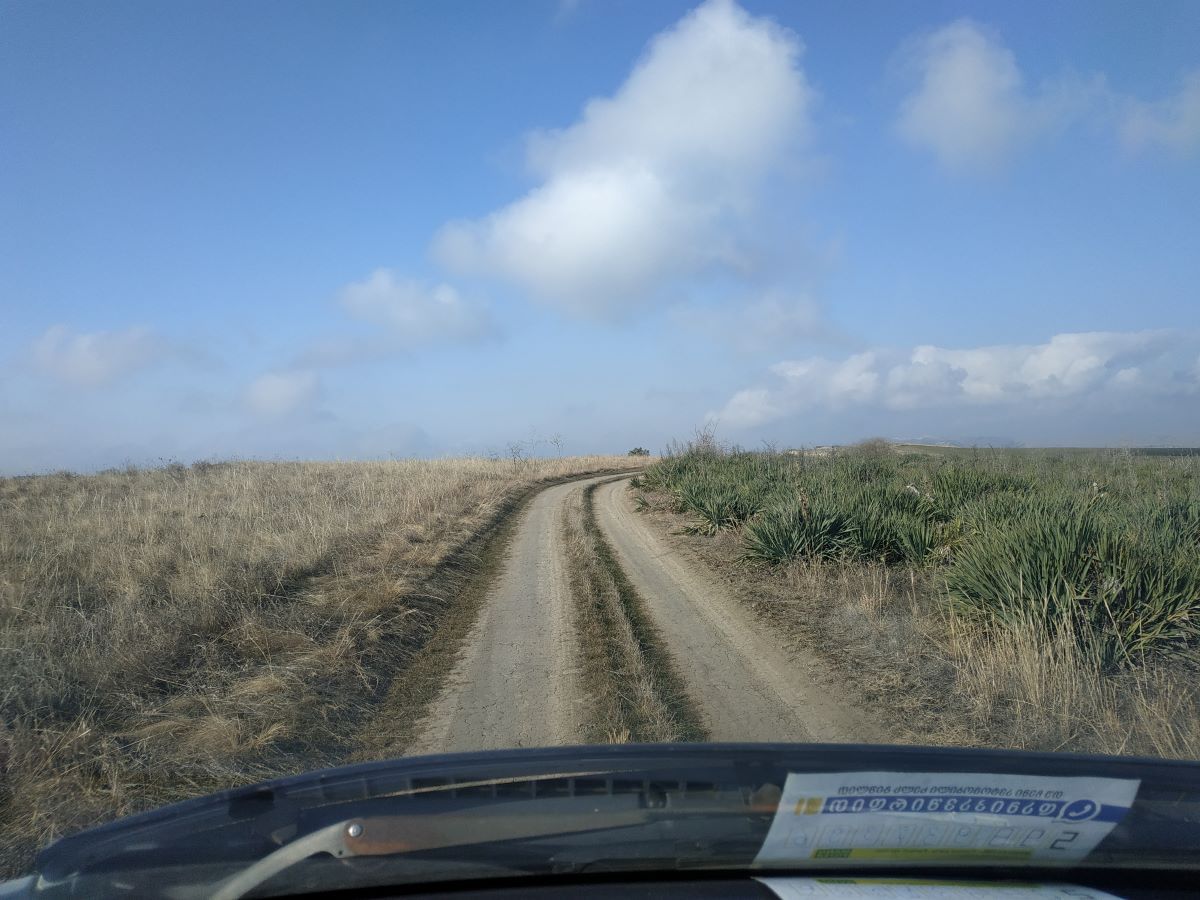 road to vashlovani protected areas