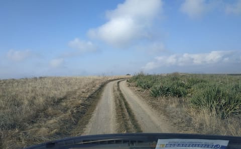 Birdwatching and Nature Tour in Vashlovani National Park from Tbilisi