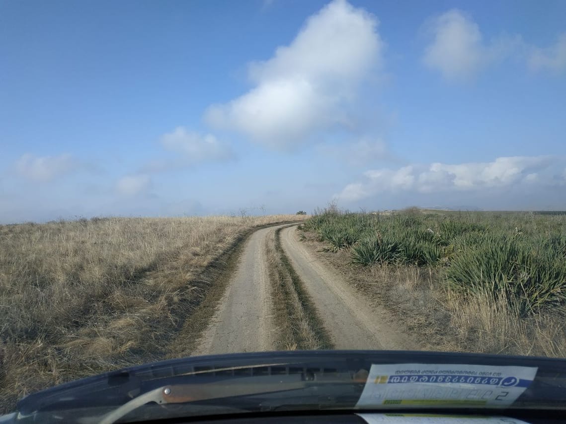 road to vashlovani protected areas