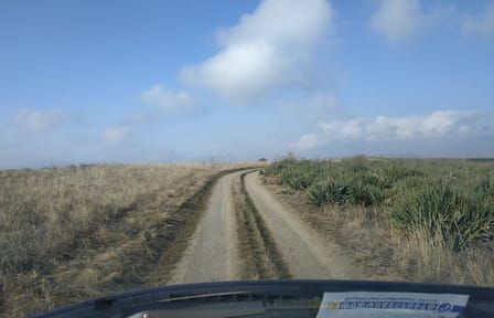 Birdwatching and Nature Tour in Vashlovani National Park from Tbilisi