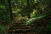 Car Hire & Driver: FULL-DAY BACH MA NATIONAL PARK FROM HUE CITY CENTER 9