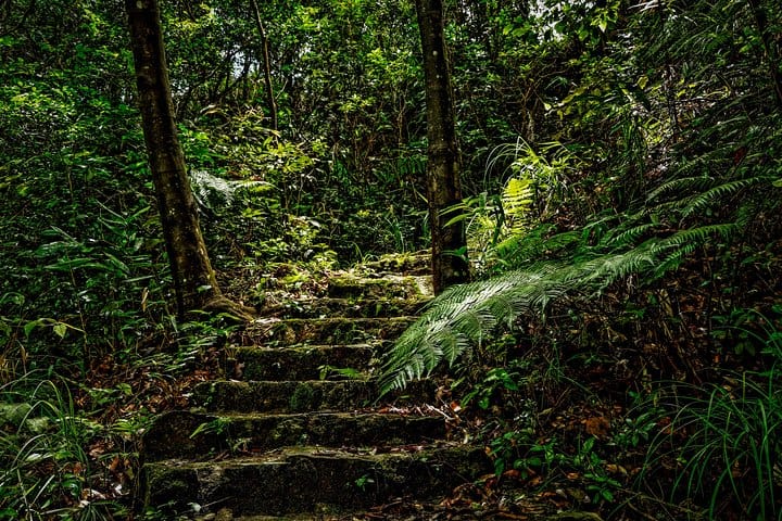 Car Hire & Driver: FULL-DAY BACH MA NATIONAL PARK FROM HUE CITY CENTER 9