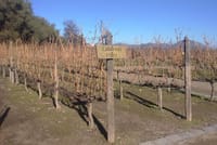 Private half day wine tour Concha y Toro 3