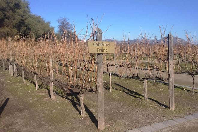 Private half day wine tour Concha y Toro 3