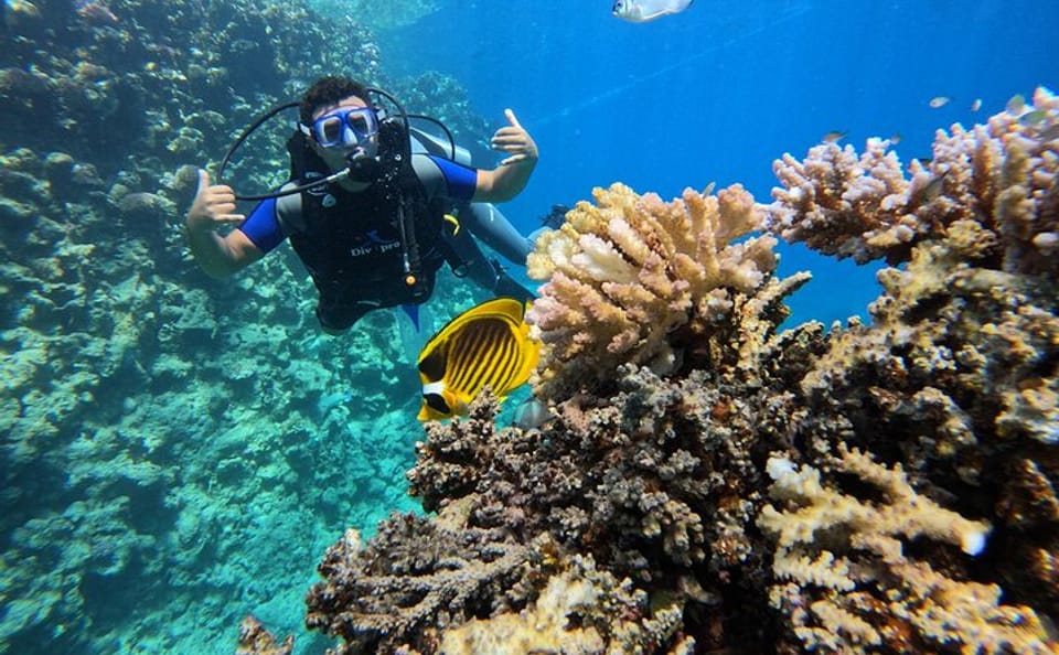 Scuba Diving Introduction at Red Sea Diving College, Egypt
