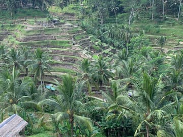 Bali Highlights : Nature, Waterfall, Rice Terraces and Volcano
