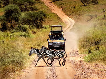 10-Day Camping Safari Northern Circuit
