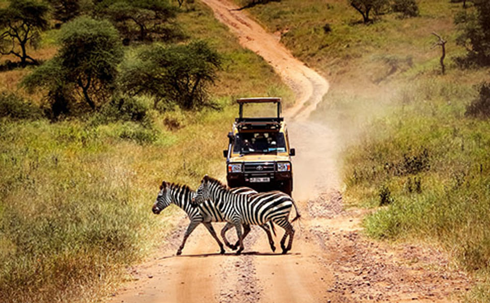 10-Day Camping Safari Northern Circuit