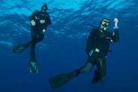 Scuba Diving at night in Mirissa 2