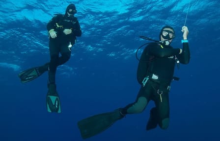 Scuba Diving at night in Mirissa