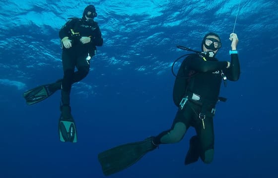Scuba Diving at night in Mirissa