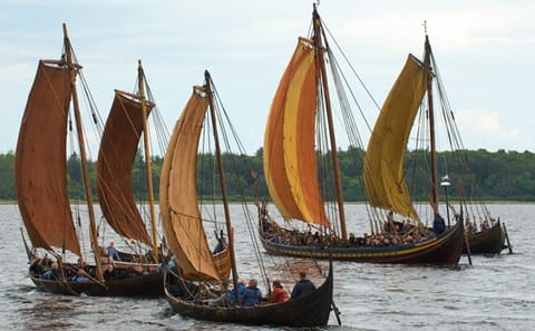 History & Vikings-Viking Heritage Trail