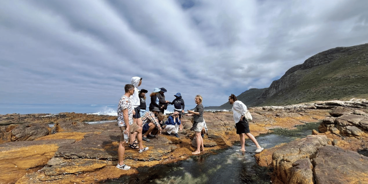 Scarborough: Coastal Foraging and Wild Food Lunch