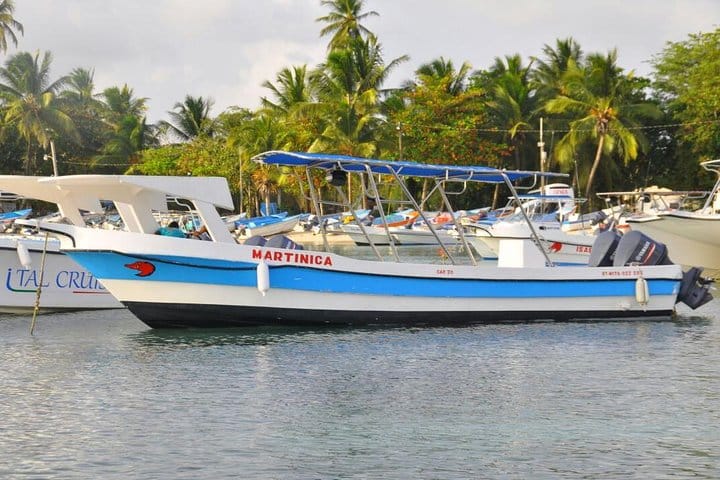 5 tours in 1 (Eco Farm/Horseback/City Tour/Buggy/Zipline)