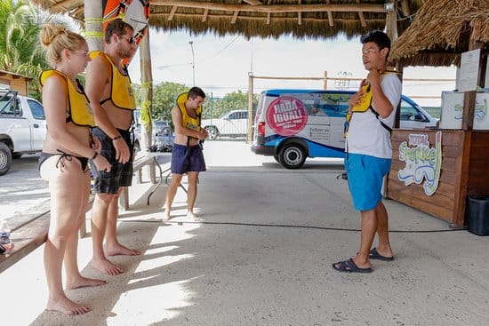 SNORKELING WITH TURTLES  3