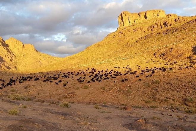 Trek Jebel Saghro Morocco 8 Days photo 3