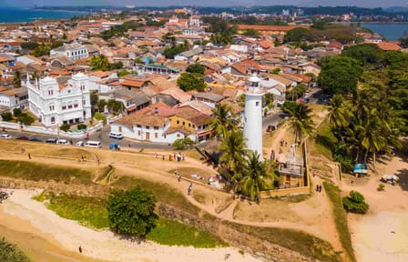 11-Day Cultural and Scenic Tour of Sri Lanka's Highlights