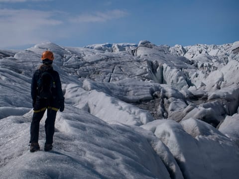 Summer Treasure - Glacier Discovery, photo 4