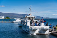 Best Value Whale Watching Tour from Reykjavik	 2