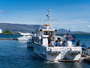 Whale Watching Tour in Reykjavík with Free Second Ticket