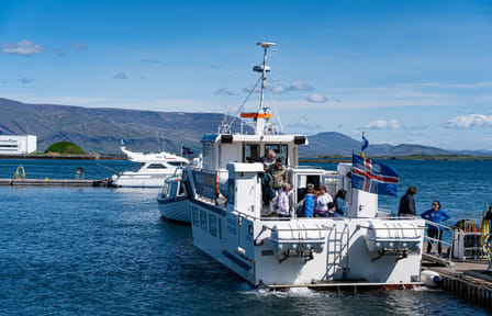 Whale Watching Tour in Reykjavík with Free Second Ticket